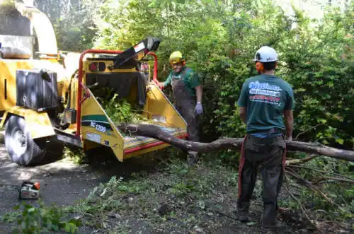 tree services Grimes